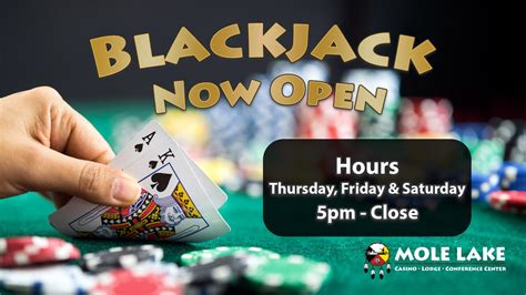 mole lake bingo|Iba pa.
